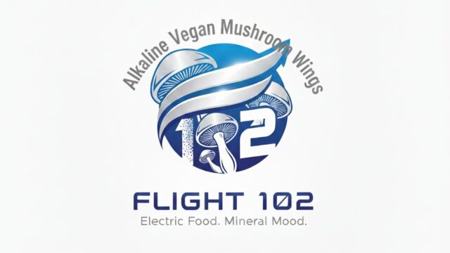 590416385_17842929666660501_1825959127444631862_n-1